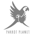 parrotplanet.pl