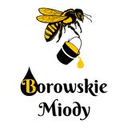borowskiemiody.pl