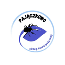 pajaczkowo.pl