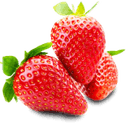 centrum-ogrodnicze.online