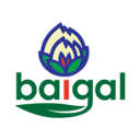 baigal.pl