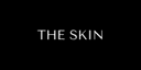 theskin.pl