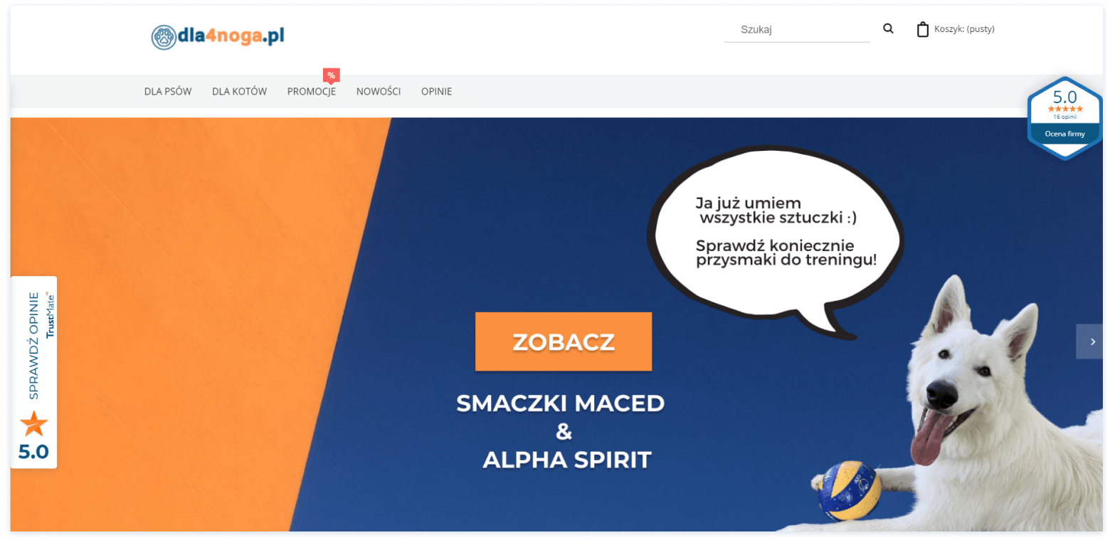 przykład widgetu lemur - dla4noga.pl
