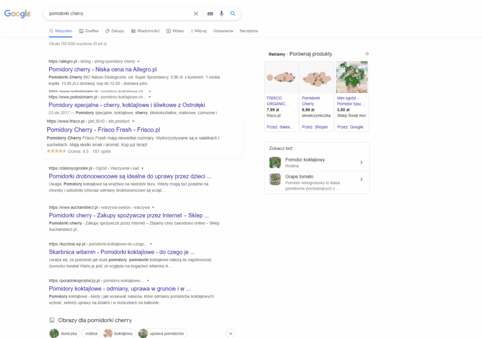 wynik wyszukiwania google - seo