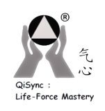 qisync.com